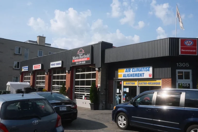 2024 08 18 1 768x512