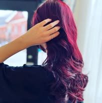 483980180 9583582395034898 6274529942581318758 n